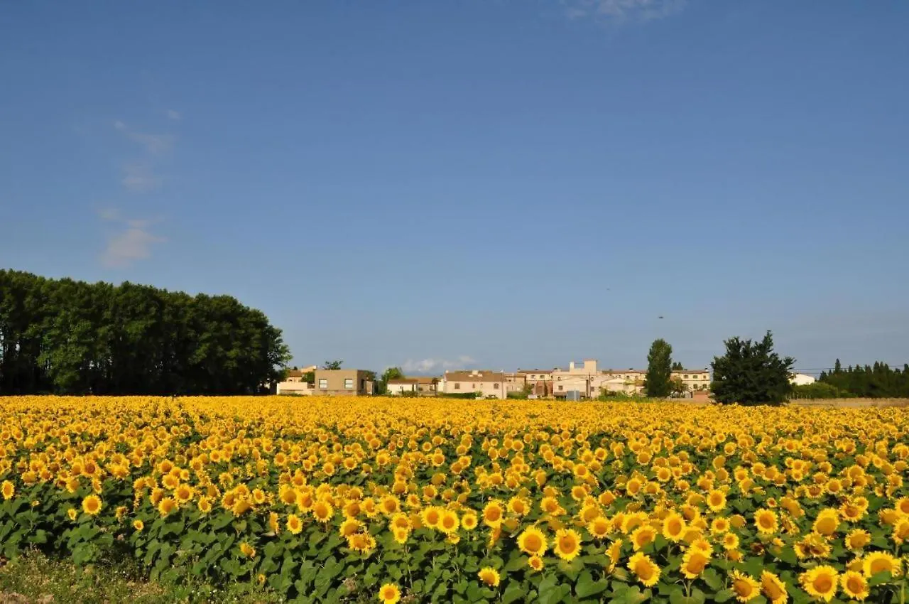 L'Hort De Sant Cebria Bed & Breakfast Torroella de Fluvia 4*,